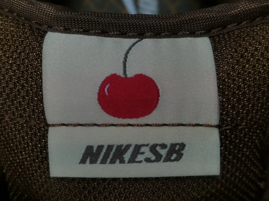 Stüssy X Dunk Low Pro Sb Cherry