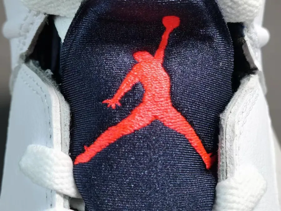 Jordan 6 Tinker