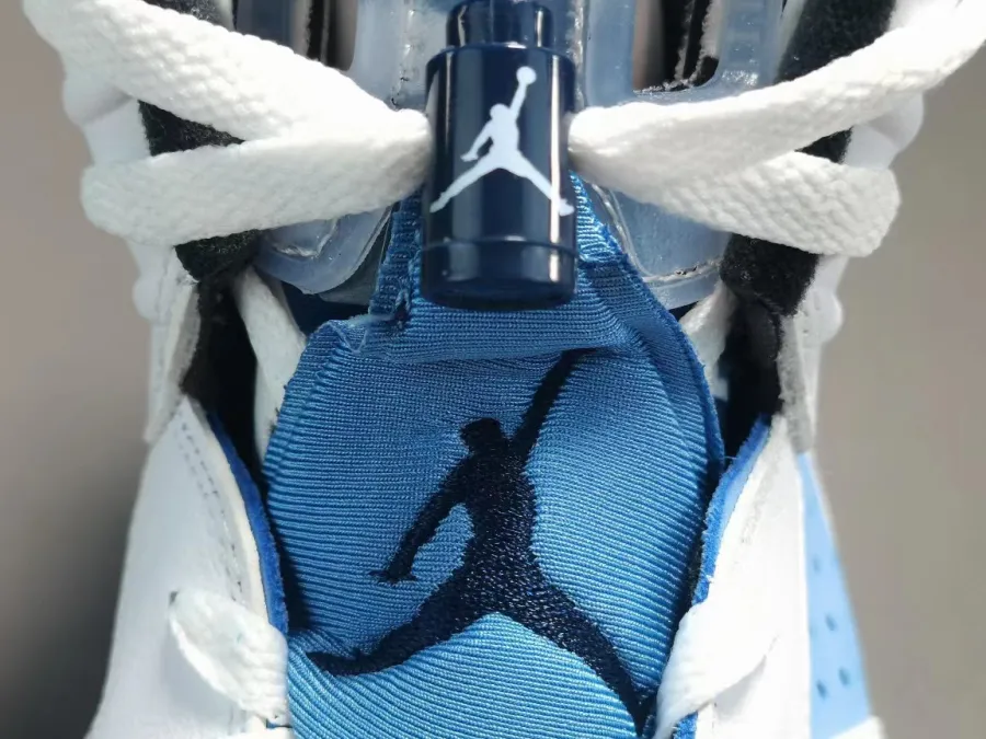 Air Jordan 6 Unc