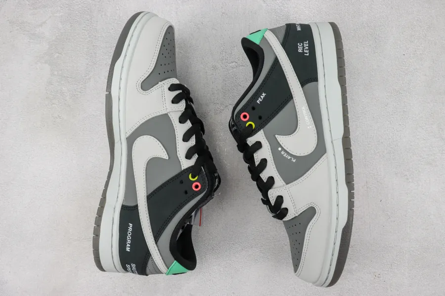 Sb Dunk Low Camcorder