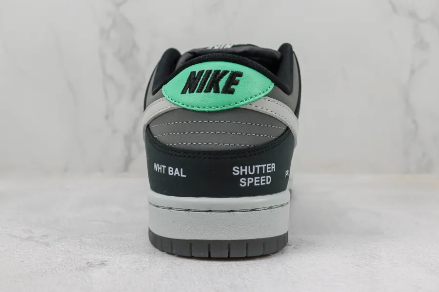 Sb Dunk Low Camcorder