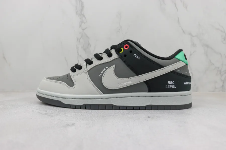 Sb Dunk Low Camcorder