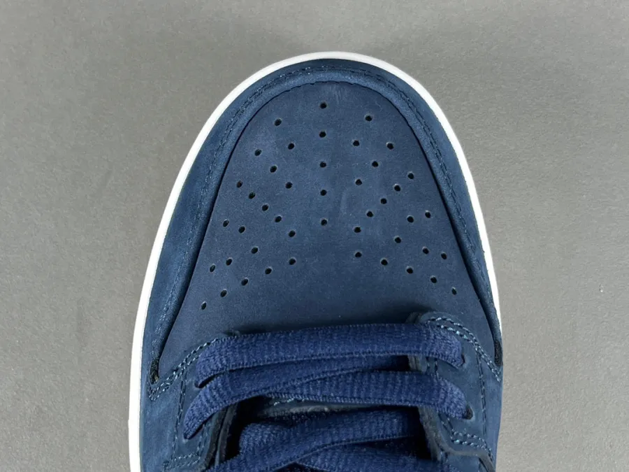 Dunk Low Pro Iso Sb Navy Gum