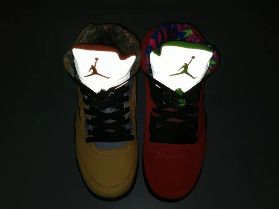 Air Jordan 5 What The