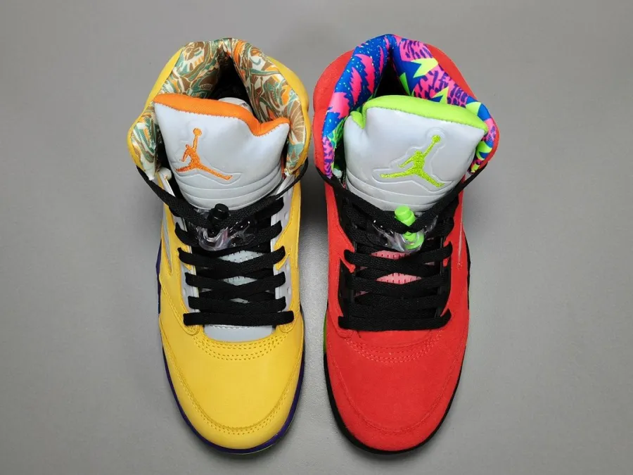 Air Jordan 5 What The