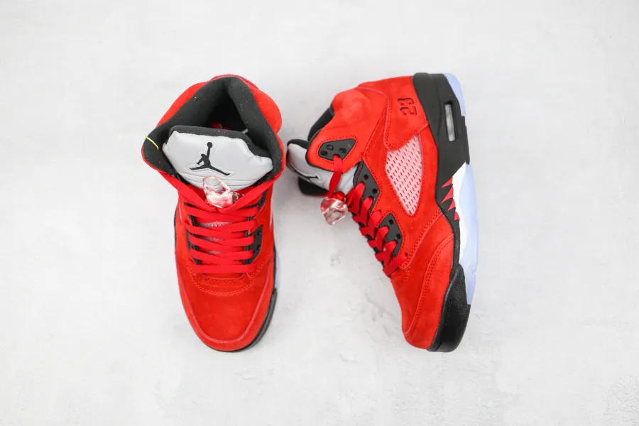 Air Jordan 5 Raging Bull